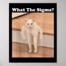 Search for cat meme posters Kitty