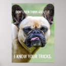 Search for frenchie posters Quote