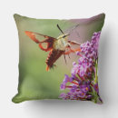 Search for hummingbird cushions Green