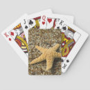 Search for beach playing cards Outdoor