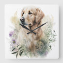 Search for golden retriever clocks Beautiful