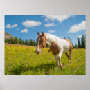 Search for harts posters Horse