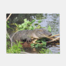 Search for alligator garden decor Florida