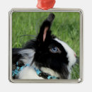 Search for black rabbit christmas tree decorations Cute