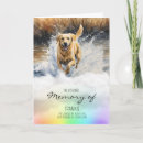 Search for watercolour sympathy cards Sorry