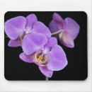 Search for black orchid mousepads Pink