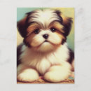 Search for shih postcards Puppy
