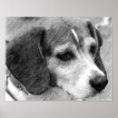 Search for beagles art Animal