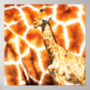 Search for giraffe pattern posters Wildlife