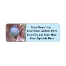 Search for pretty return address labels Photograph