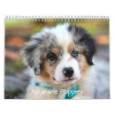 Search for puppy calendars Animal lovers