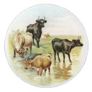Search for cow knobs and pulls Rustic