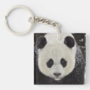 Search for giant key rings Animals