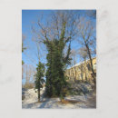 Search for baum Winter