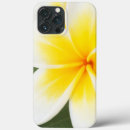 Search for plumeria flowers iphone cases White