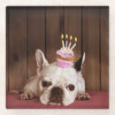 Search for french bulldog coasters Animals