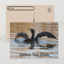 Search for double postcards Florida