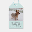 Search for thank you from a dog Caregiver