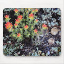 Search for paintbrush mousepads Usa