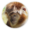 Search for monkey knobs and pulls Nature