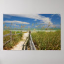 Search for sea oat posters Nature