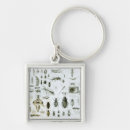 Search for entomology key rings Bugs
