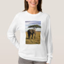 Search for maasai tshirts Savannah