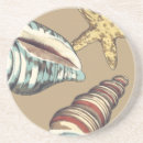 Search for sea shell coasters Nature