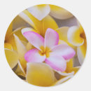 Search for hawaii flower stickers Oahu