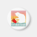 Search for wanted magnets Kitty