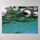 Search for rippled posters Outdoors