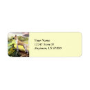Search for great dane dog return address labels Danes