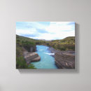 Search for patagonia art Chile