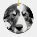 Search for collie christmas tree decorations Animal