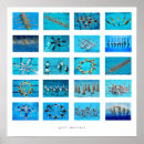 Search for swim coach art Synchronised