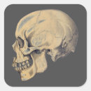 Search for vintage skull stickers Elegant