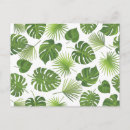 Search for tropic designs postcards Palm
