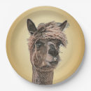 Search for alpaca plates Kids