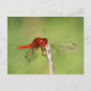 Search for nature reserve postcards Outdoors