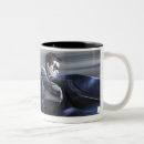 Search for nightwing mugs Injustice gods among us