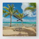 Search for tropical clocks Beach