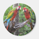 Search for palm tree stamp magnets Tropical