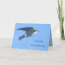Search for swallow birds art postcards Birthday