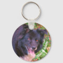 Search for border collie key rings Animal