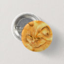 Search for ginger cat badges Cute