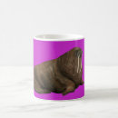 Search for walrus drinkware Nature