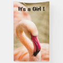 Search for pink flamingo banners Bird