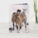 Search for appaloosa christmas cards Winter