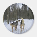 Search for sledding magnets Winter