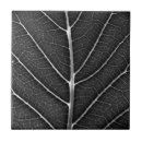 Search for glow tiles Leaf